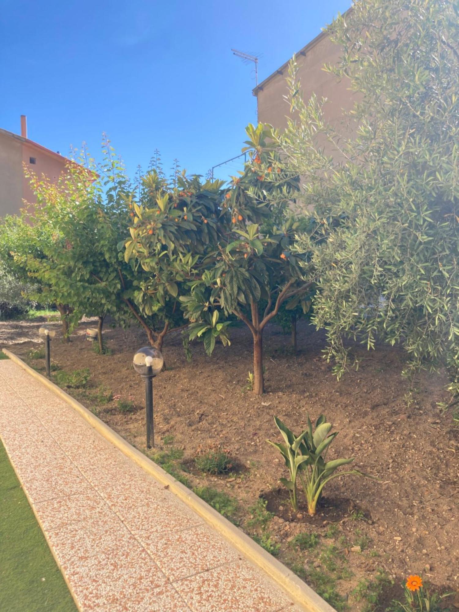 Casa Vacanze Il Giardino Villamassargia Экстерьер фото
